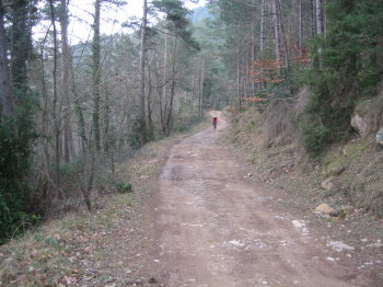 Tram de pista
