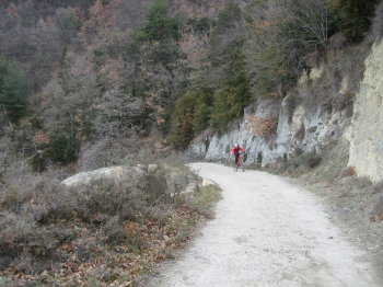 Pujada