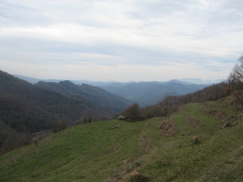 Vall