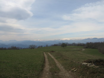 Pla de Marenyol