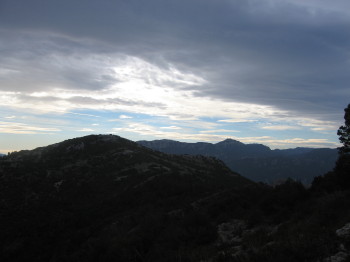 Camí carener