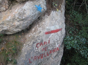 Marques del camí